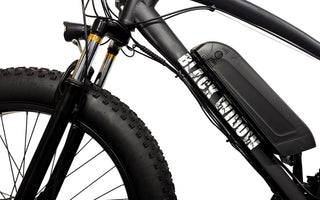 Embracing the Ride: A Closer Look at the Black Widow E-Bike